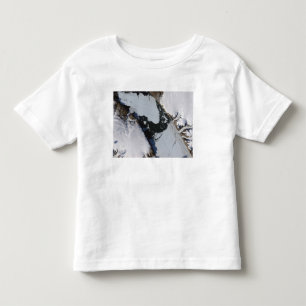 The ice island toddler T-Shirt