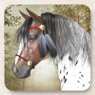 The Indian Pony Coaster