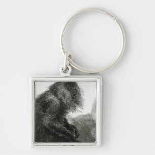 The Indian Waderoo Monkey Key Ring