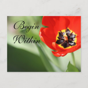 The Inner Tulip Photography Postcard
