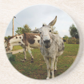 The inquisitive Donkey Coaster