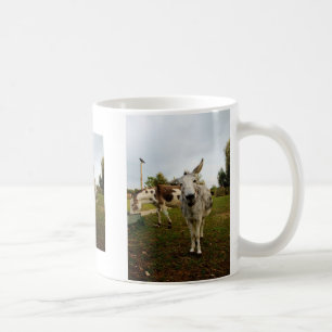 The inquisitive donkey mug