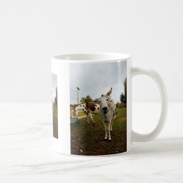 The inquisitive donkey mug (Right)