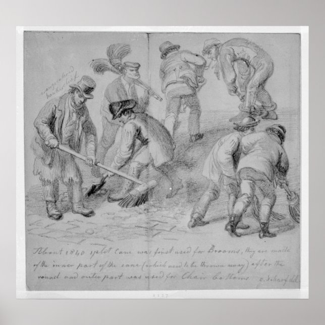 The introduction of split cane brooms poster (Front)