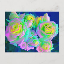 The Iridescent Pearly Roses