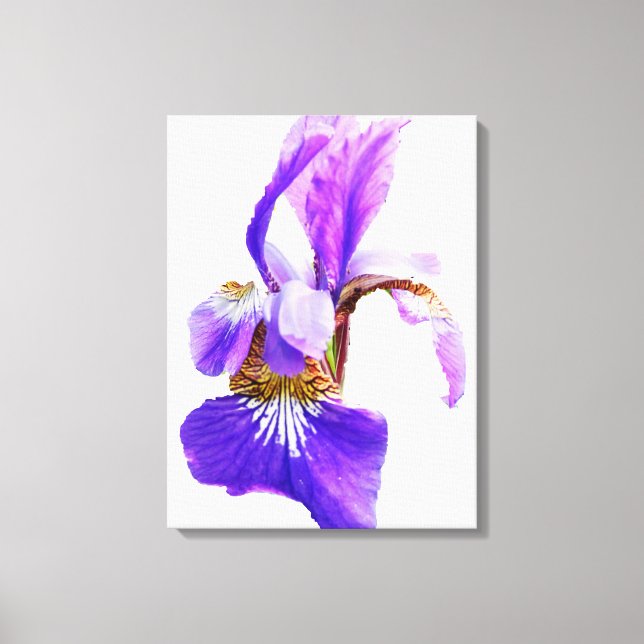 THE IRIS POSTER CANVAS PRINT (Front)