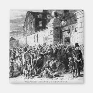 The Irish Famine Magnet