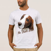 The Irish Setter