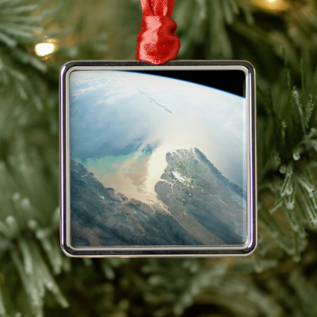 The Irrawaddy River Delta In Burma (Myanmar). Metal Tree Decoration (Tree)