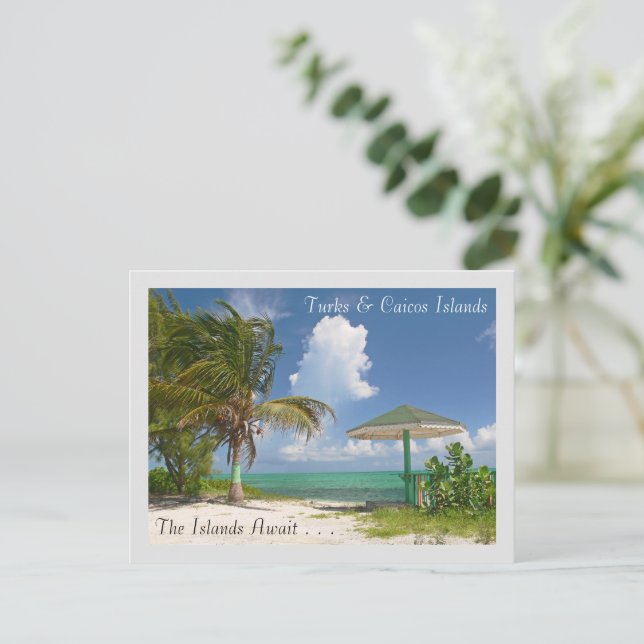 THE ISLANDS AWAIT/TURKS AND CAICOS ISLANDS POSTCARD (Standing Front)