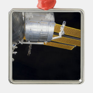The Japanese Kibo complex 2 Metal Tree Decoration