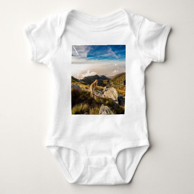 The journey baby bodysuit (Front)