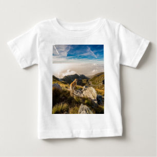 The journey baby T-Shirt