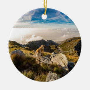 The journey ceramic tree decoration