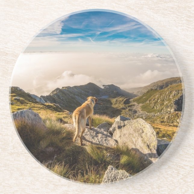 The journey coaster (Front)