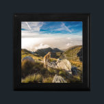 The journey gift box<br><div class="desc">The journey awaits you!</div>