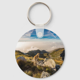 The journey key ring