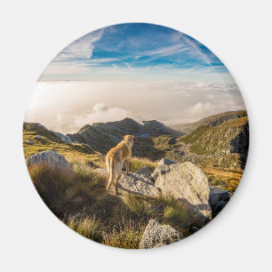 The journey magnet