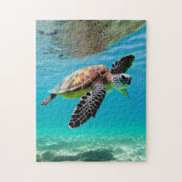 The Journey of a Sea Turtle