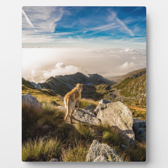 The journey plaque (Front)