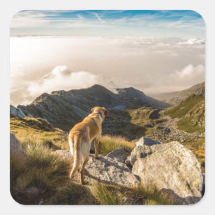 The journey square sticker