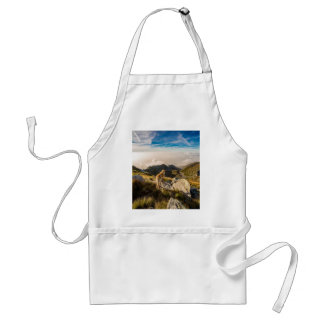 The journey standard apron