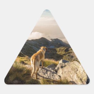 The journey triangle sticker