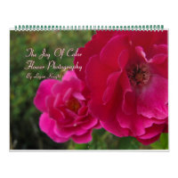 The Joy of Colour Flower Photography