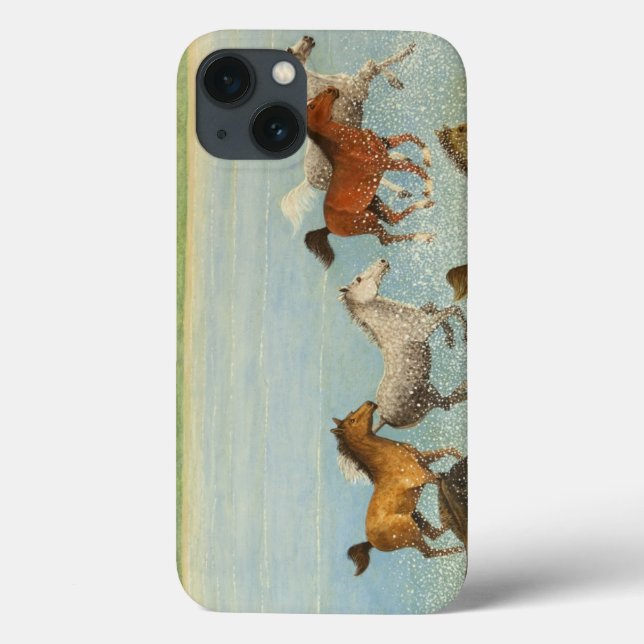The Joy of Freedom 2013 Case-Mate iPhone Case (Back)
