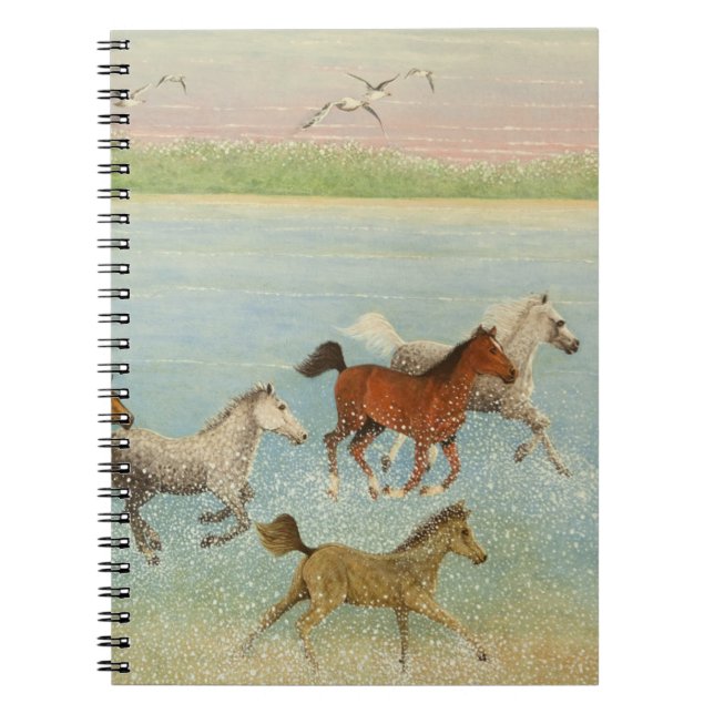 The Joy of Freedom 2013 Spiral Notebook (Front)