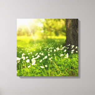 The Joys of Spring Canvas Print