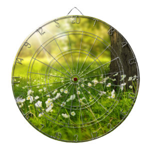 The Joys of Spring Dartboard