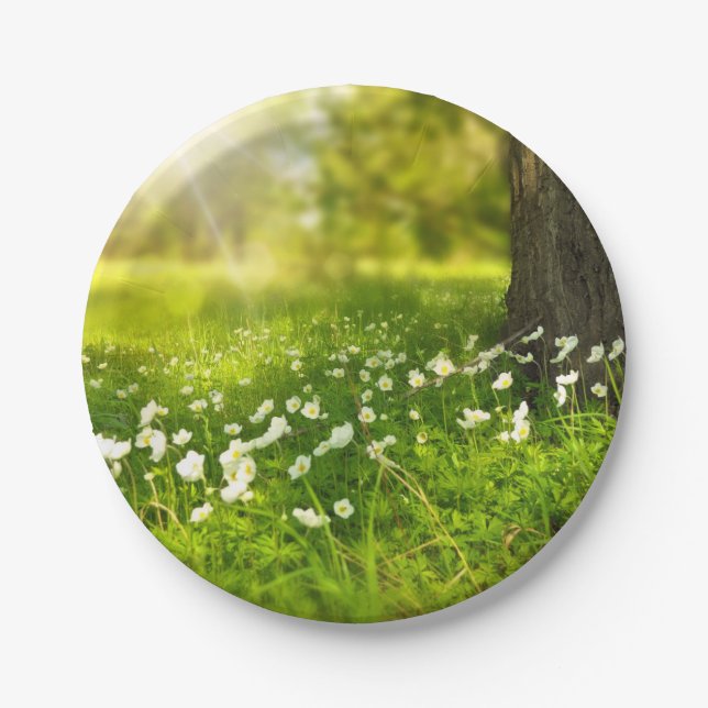 The Joys of Spring Paper Plate (Front)