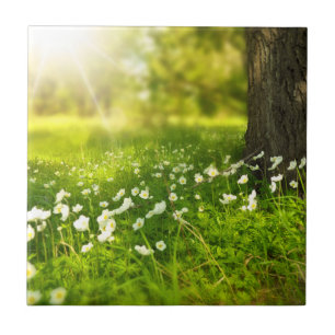 The Joys of Spring Tile