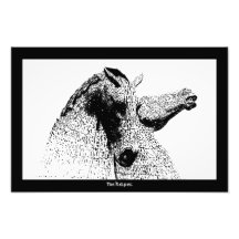 The kelpies in silhouette, Falkirk , Scotland