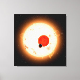The Kepler-16 System. Canvas Print