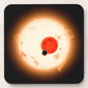 The Kepler-16 System. Coaster