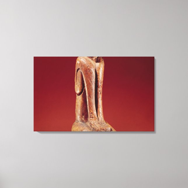 The Key Marco Cat, from Florida Canvas Print (Front)