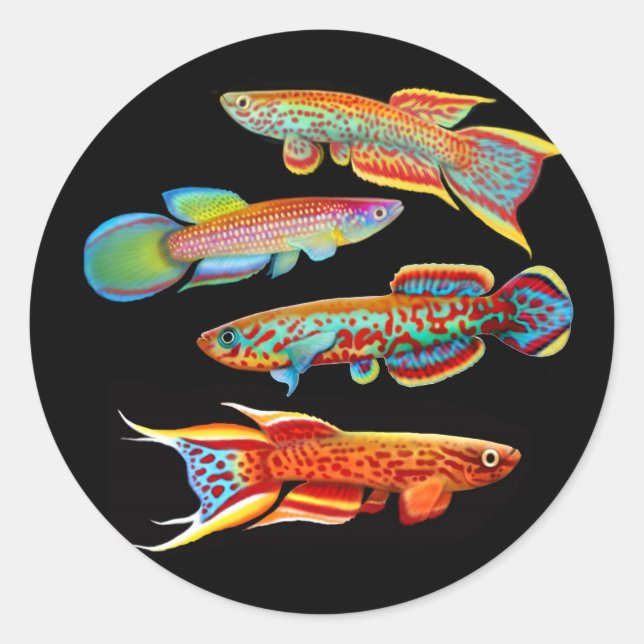 The Killifish Sticker (Front)