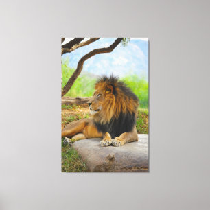 The King ! Canvas Print