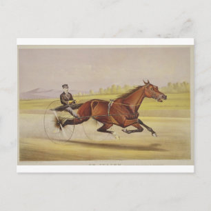 The King of the Turf, 'St. Julien', Driven by Orri Postcard