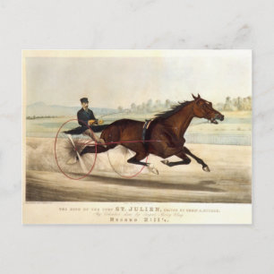 The King of the Turf, 'St. Julien' Postcard