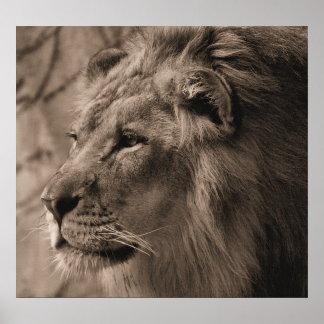 The King Poster (Front)