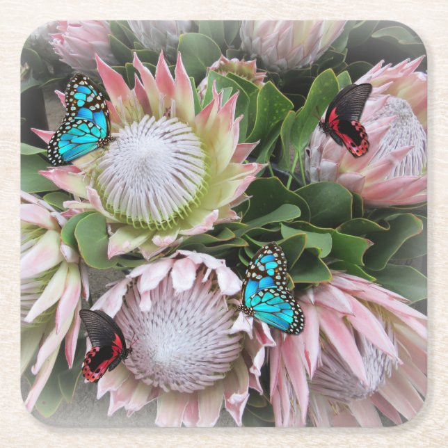 The King Protea Square Paper Coaster (Front)