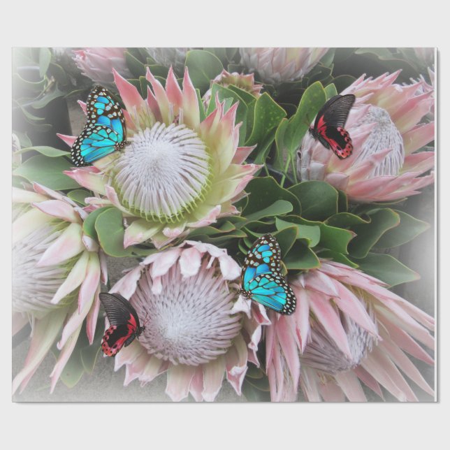 The King Protea Wrapping Paper (Flat)