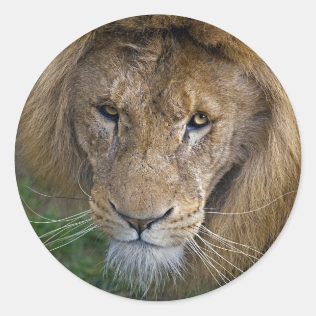 The King Sticker (Front)