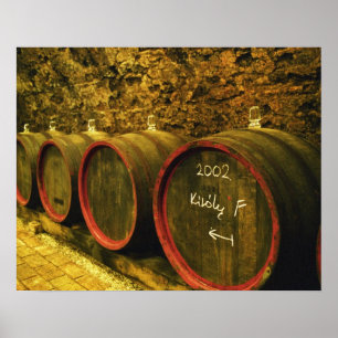 The Kiralyudvar winery: Barrels with Tokaj wine Poster