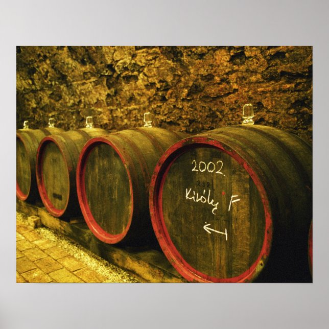 The Kiralyudvar winery: Barrels with Tokaj wine Poster (Front)