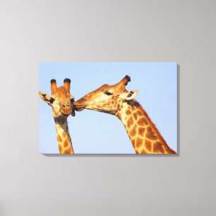 The Kiss Canvas Print