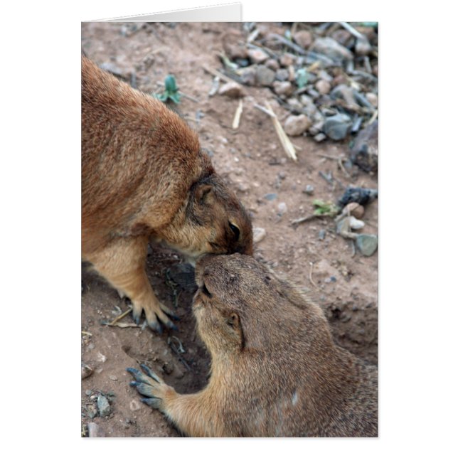 The Kiss Card Card-Customise It! (Front)